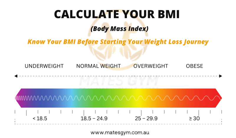 Know Your BMI Before Weight Loss Journey